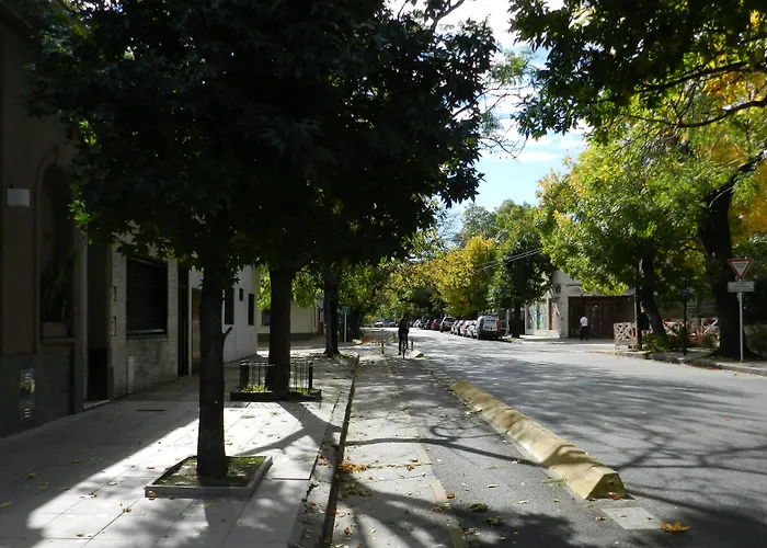 B&B Polo (Adults Only)